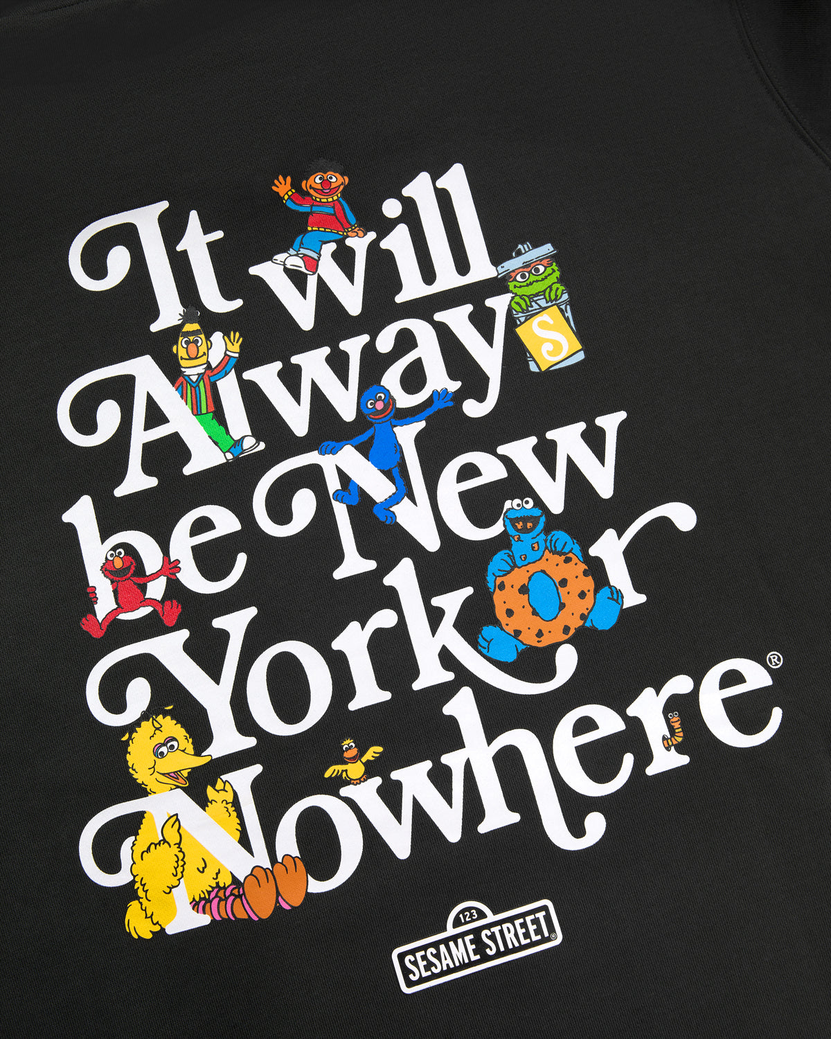 Always Sesame St. Hoodie - New York or Nowhere®