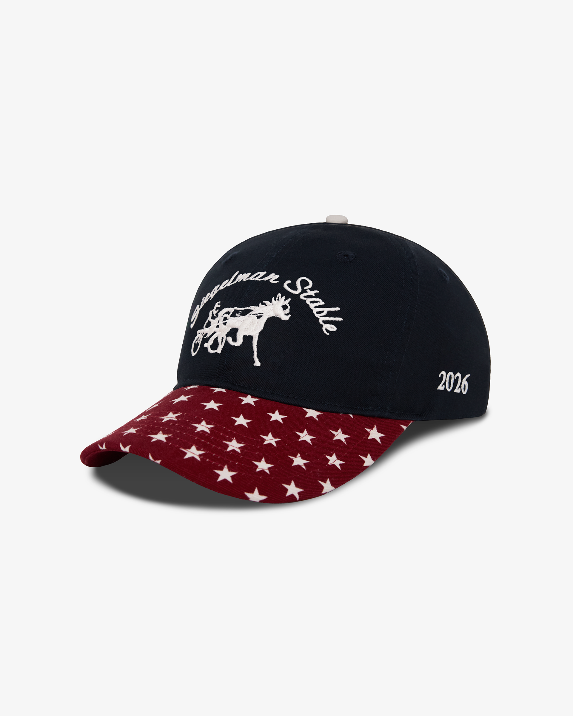 NYON x Siegelman Stable x US Soccer Underdog Dad Hat - New York or Nowhere®