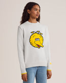 Big Bird Mascot Sweater