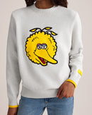 Big Bird Mascot Sweater