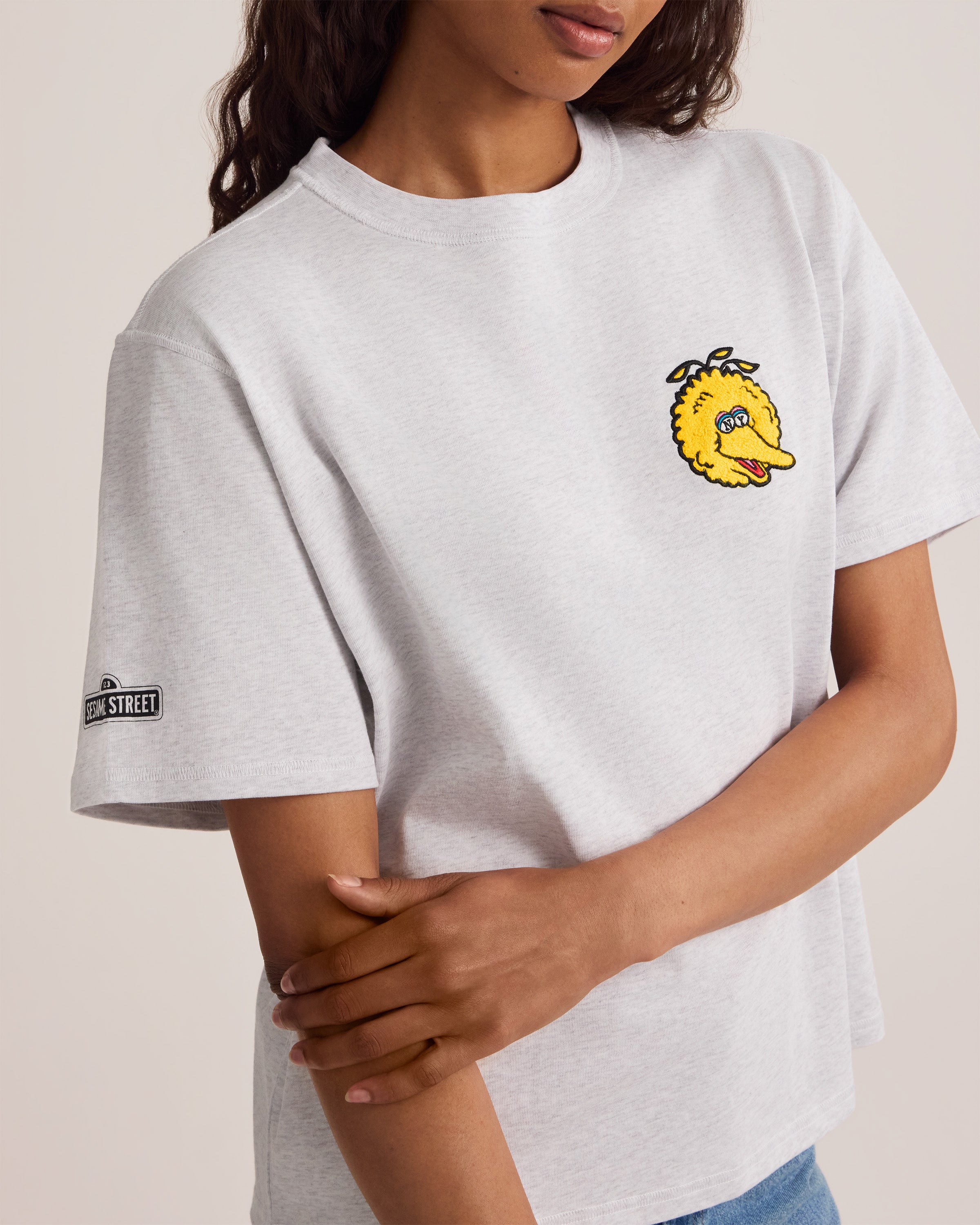 LYFT BIRD GRAPHIC EXTRA BIG Tシャツ Big Bird Mascot Oversized Crop T-Shirt – New York or Nowhere®
