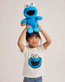 Sesame Street Cookie Monster Plush