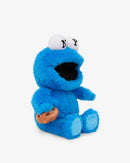 Sesame Street Cookie Monster Plush