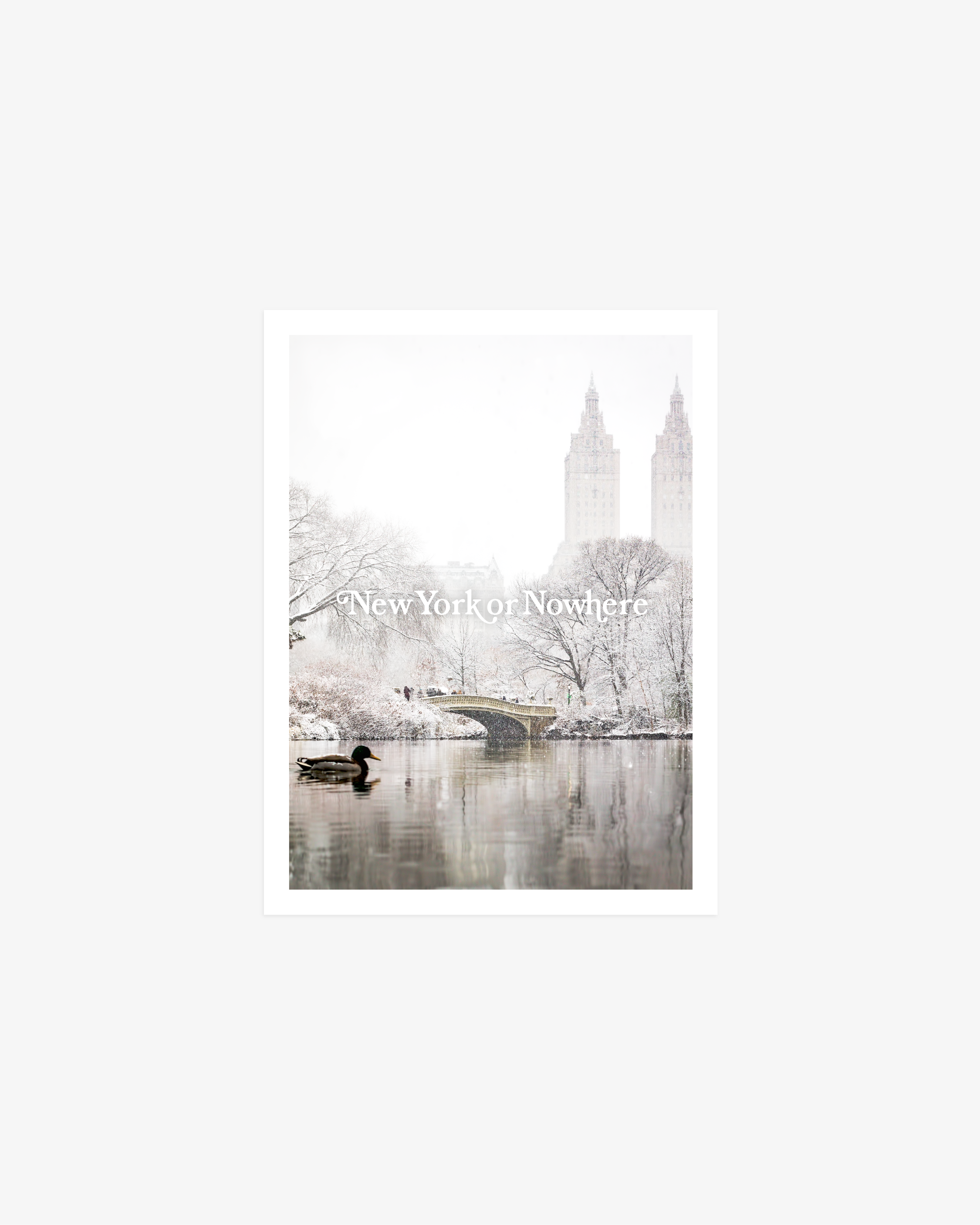 NYON "The Duck" Art Print - New York or Nowhere®