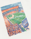 Mets Watercolor Oversized Crop T-Shirt